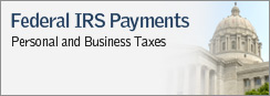 Federal IRS Payments - Personal and Business Taxes